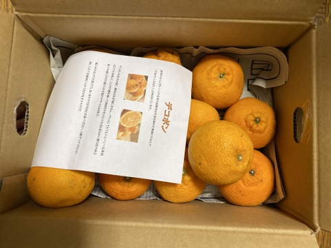 【味に自信あり】■3k箱■愛媛の不知火■家庭用■除草剤使用無　万田酵素散布■