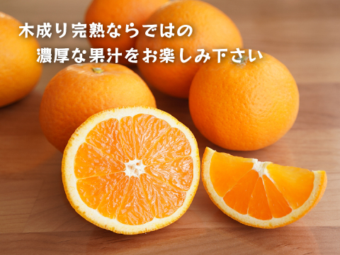 清見｜春先まで樹上完熟させた濃厚な味わい！みかんとオレンジのかけ合わせで生まれた和歌山県海南市下津町産の和製オレンジ（ご家庭用4kg）