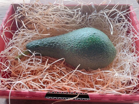 【愛知県産】希少な国産アボカド