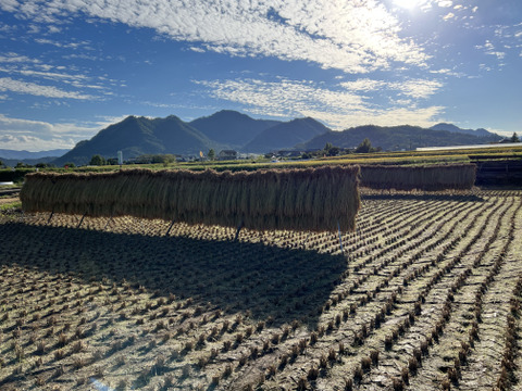 冷めても美味しい『ハゼかけ天日干し米』５ｋｇ