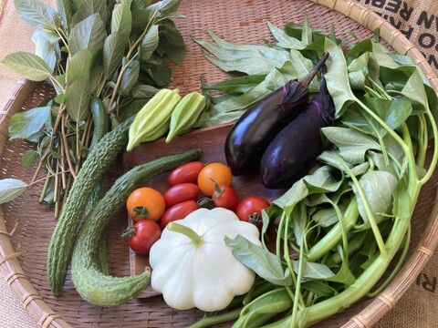 太陽の恵みをめいっぱい！季節の野菜セット【7品目】＃栽培期間中農薬・化学肥料不使用
