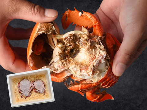 【希少ガニ】宮崎県産アサヒガニ［1kg］漁師直送・生冷凍