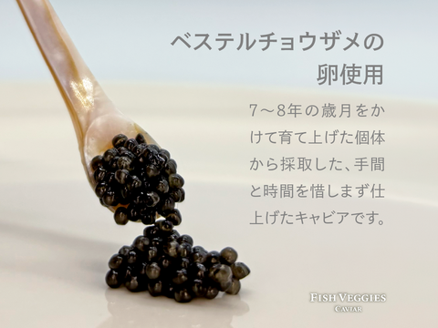 【国産フレッシュキャビア】FISH VEGGIES NAGAOKAべステルキャビア 15g 　シェルスプーン・化粧箱付き