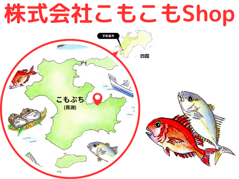 【完全予約制、日時指定不可、12月より順次発送、50尾限定】愛媛県産養殖スマ