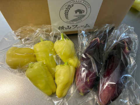 【土曜出荷：出荷先制限】『夏野菜セット(小)』 (調理トマト10個+ピーマン10個+ナス5本)