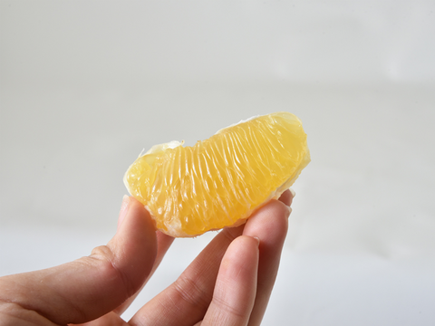 爽やかな甘みと香り　河内晩柑【家庭用(訳あり)】[5kg]　330-3