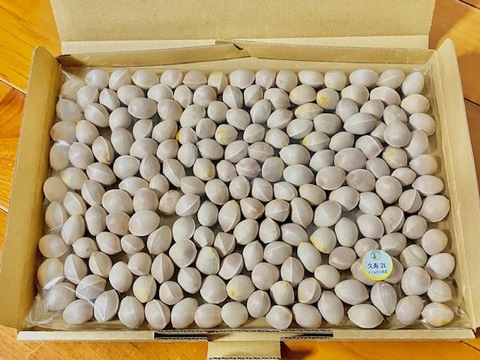 おつまみ上級 Lサイズ　もっちり大粒銀杏”久寿✨”　700g