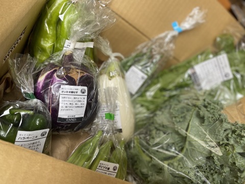 【月・金曜発送便】ココロ躍る🌈おまかせ野菜セット【さいたま市産】
