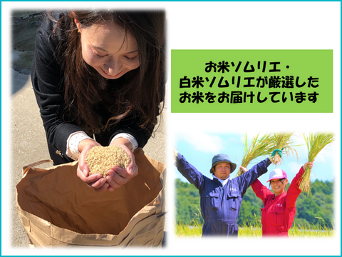 【令和7年産】毎日5合なら約26日分！茨城県産コシヒカリ　風のひかり20kg（5kg×4袋）