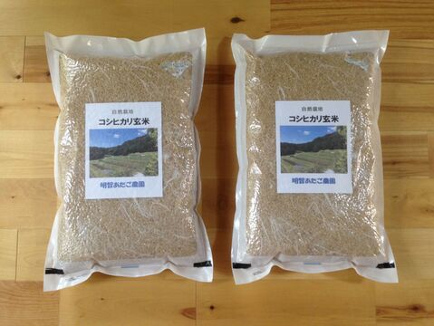 自然栽培（農薬不使用、有機・化学肥料不使用） コシヒカリ玄米10kg 令