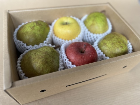 【冬ギフト】ラ・フランス＆りんごセット~ふふっとBOX~