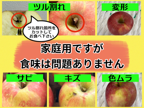 ★★新春セール★★🍎約１０キロ🍎レビュー数1900件突破！！葉とらずふじ【家庭用】２６玉～４３玉 青森りんご リンゴ 商品ID197581 大容量　訳あり