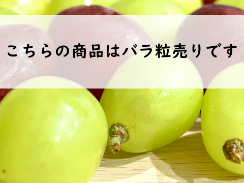 「粒売り」濃厚果汁クイーンニーナ　800g 粒2パック　『クール便』