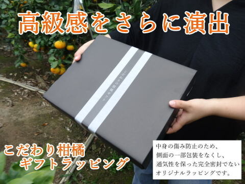 【冬ギフト】甘～い完熟みかんの食べ比べ！レア品種も入った３品種が楽しめる豪華詰め合わせ！厳選プレミアムギフト『極み』　黒の化粧箱（小）　三種詰め合わせ　約８００ｇ入「熨斗対応可」【商品番号140】