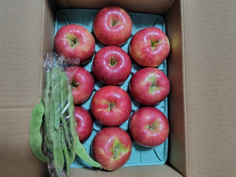 綺麗な葉とらずシナノスイート 3キロ箱 7～11玉