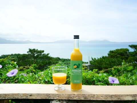 大宜味村産青切シークヮーサージュース(100%) 500ml