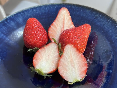 あまあま！とちあいか🍓大玉パック！