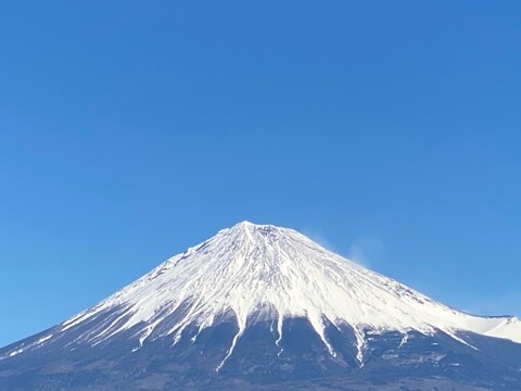 農薬・化学肥料不使用！カラフルピーマンセット1kg！