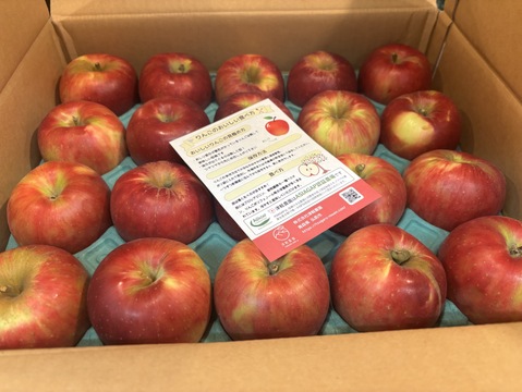 レア品種！　紅玉　【青森県産りんご 】5kg　18～28玉　スイーツ作り　農家直送