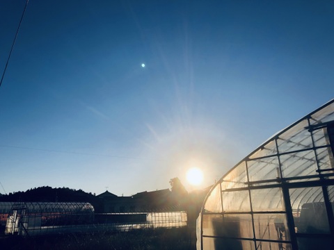 【早期ご予約でお値打ち！】春ブロッコリー、アスパラ、可愛い新玉ねぎのセット！