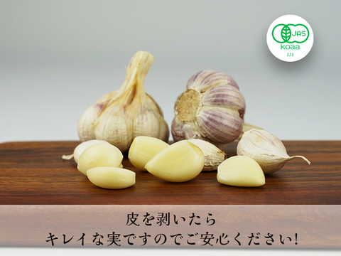 ５㎏2023年国産北海道産一番刈りオーチャード 有機にんにく訳あり1㎏入】 2025年（令和7年度）今年採れた有機
