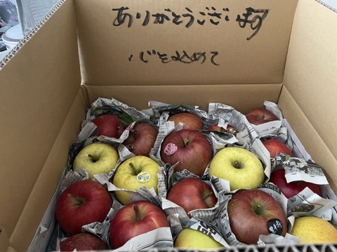 りんごの『おもちゃ箱』約5kg箱15玉〜