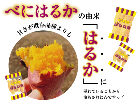 【旬の味】ほしいも／200g（平干し）3袋 茨城県産 べにはるか使用 クリックポスト 送料無料 松田製茶 FOD-038