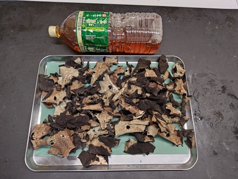 国産天然茸】岩茸/石茸/高山の崖に生える幻のきのこ/乾燥100g