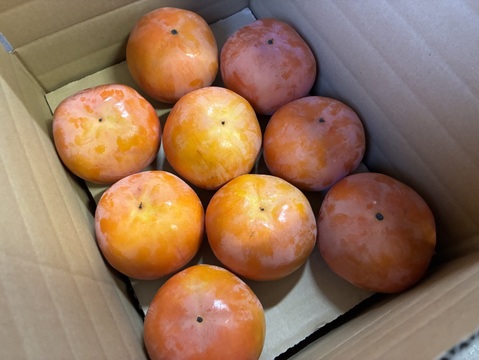 【訳あり】柿の王様、樹上完熟のあまーい富有柿4㎏(16〜20個)