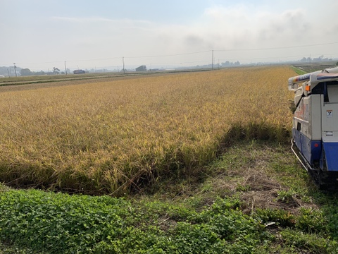 【Ꭱ3年産】[玄米]北海道米 ゆめぴりか 特別栽培 4kg ネオニコフリー
