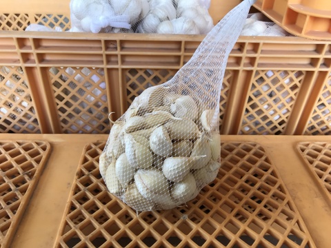 【わけあり品】青森県産ホワイト六片種にんにく バラ 1.5kg(500g×3箱)【高糖度】