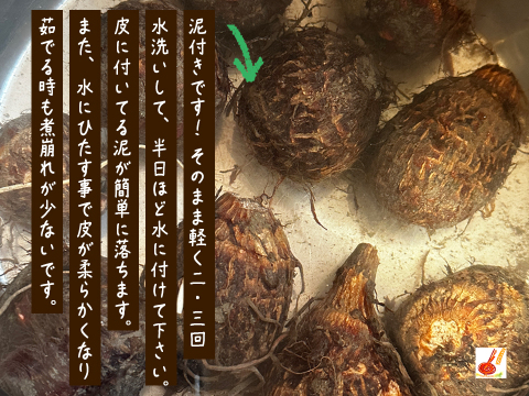 皮ごと茹でて✨美味しい ✨小ぶりな里芋1kg(セレベス:赤目芋)｜農家直送✅｜家庭用🎁❗️