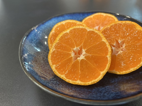高糖系みかん代表【総合２１】🍊５キロ【数量限定！】