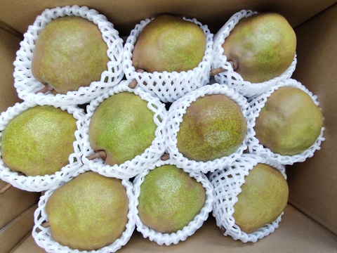 高貴な香り山形ラ・フランス【３Kg】