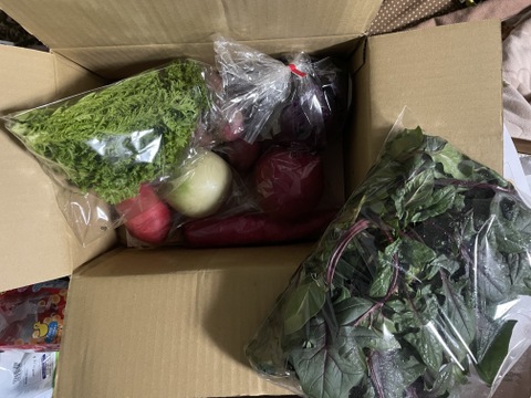 テーマは『カラフル&珍しい』野菜セット(野菜6種類入り)農薬・化学肥料不使用