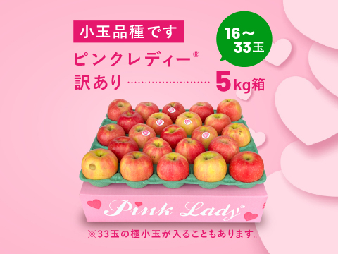 発送中🍎【ヒルナンデスでました！】ピンクレディー®︎ 5キロ訳あり品 加工用 長野県 信州 安曇野 リンゴ 幻 幻のリンゴ 予約 希少 旬 ID36611 ピンクレディー