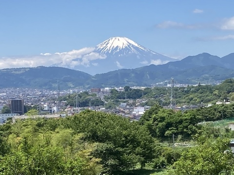 新鮮！【新ニンニク】500g；農薬、化学肥料不使用