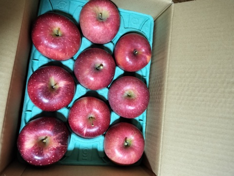 葉とらずサンふじ＋シナノホッペ　3キロ（3.2キロぐらい入ります）【JA基準より60％減の低農薬栽培・りんご食べ比べ】