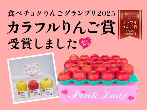 【12月9日から🍎】ピンクレディ®︎  5キロ箱 16玉〜33玉サイズ  長野県 信州 安曇野 リンゴ 幻 幻のリンゴ 予約 希少 ID64029 ピンクレディー
