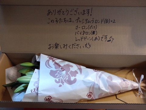 【簡易包装】■オリエンタルmix5本束■1度に3~5品種お楽しみいただけます!