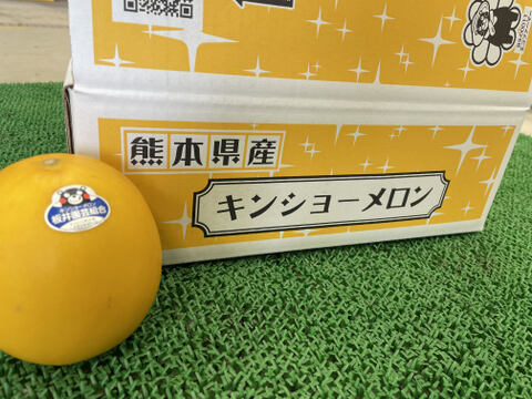【夏ギフト】『秀品』幸せの黄色いメロン(キンショー) (熨斗対応可)
