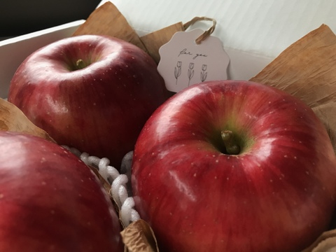 特選　つがる　約4.5kg【2025年産】