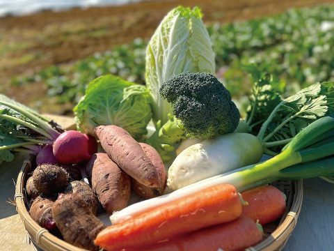 冬野菜Lセット9品目前後（農薬・化学肥料不使用）