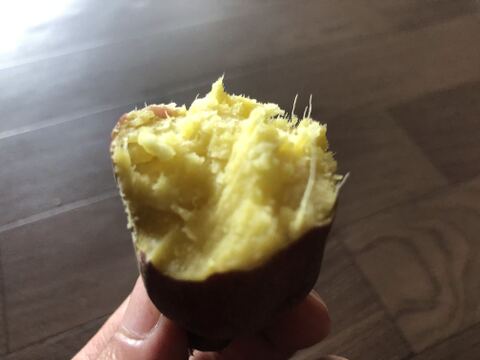 庄内平野の豊かな地下水と海からの潮風香る砂丘地で育てたさつまいも「紅はるか」　食べきりSサイズ 中心