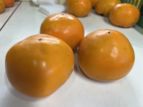 【2025予約受付】合格祈願！  合格柿！花御所柿(5角形)　大工の作る杉の箱入り！