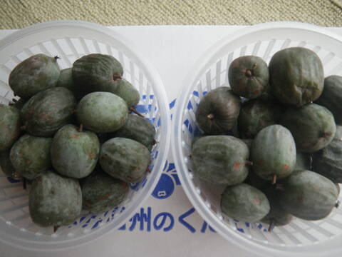 サル梨 （こくわ） の完熟果実 ４パック ５００gマタタビ科 幻の果実