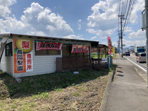 糖度13度以上！完熟の『幸水梨』約3kg（6-9個）