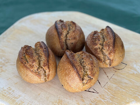 【超貴重な有機JAS認証パン】パンセット⑭＋Singleパン⑨+⑩+⑮：麦の栽培から一貫生産　自然栽培小麦のみ使用したパンセット