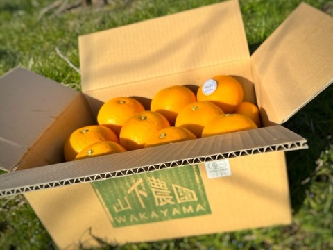 安心のオーガニックはっさく Lサイズ12玉 和歌山県産有機栽培八朔 3.5kg