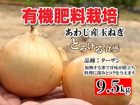有機肥料栽培　あわじ産 品種：ターザン M-Lサイズ 中玉 大玉サイズおまかせ9.5kg　加熱すると甘みが増し煮込み料理や炒め物に最適。貯蔵性にも優れており、幅広い料理で活躍。ひょうご安心ブランド認定